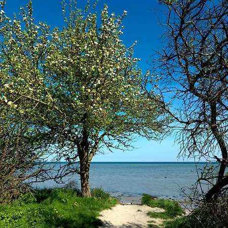 Ferienhaeuser Hohmann Fh Hohmann 別荘 Einhusen