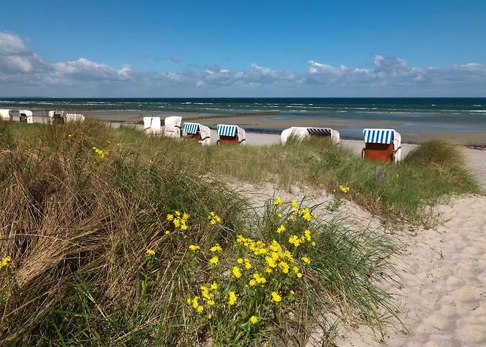 Prázdninový dům Ferienhaeuser Hohmann Fh Hohmann Einhusen (Rostock)